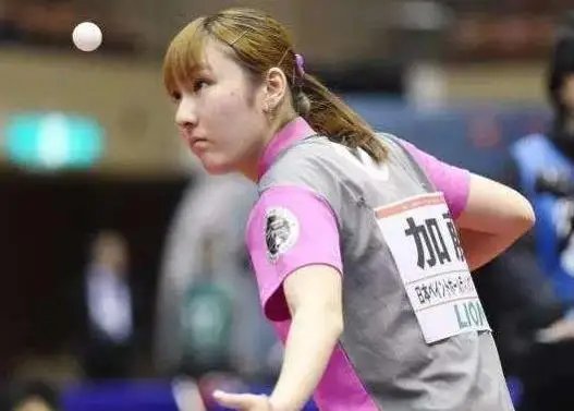 一场关于数 一场关于数