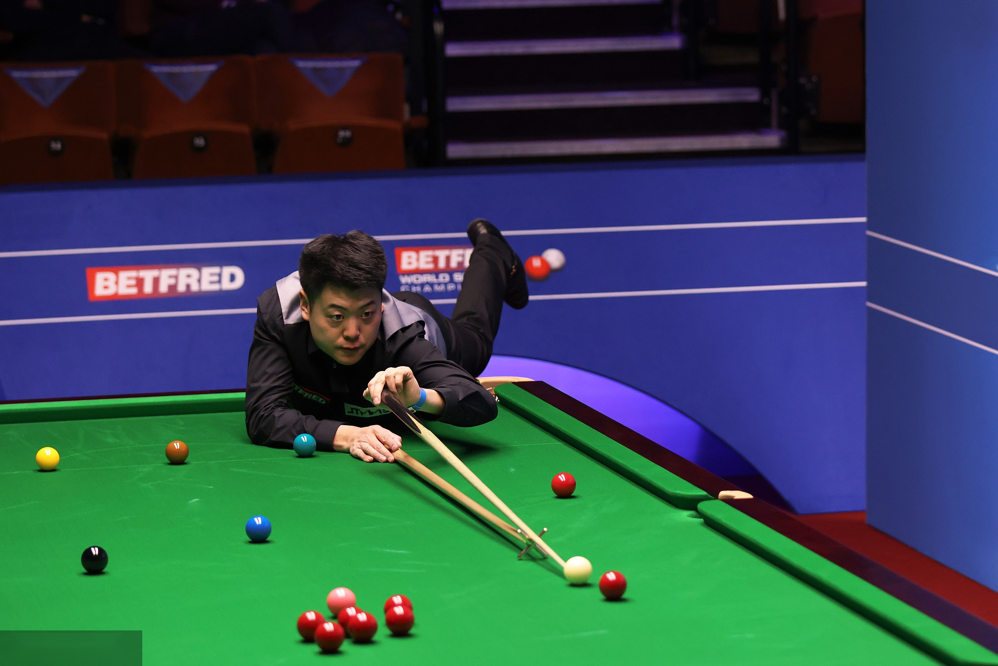 示了更多足 示了更多足