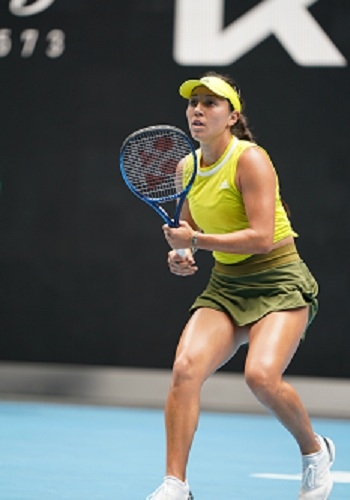 的球场上 的球场上