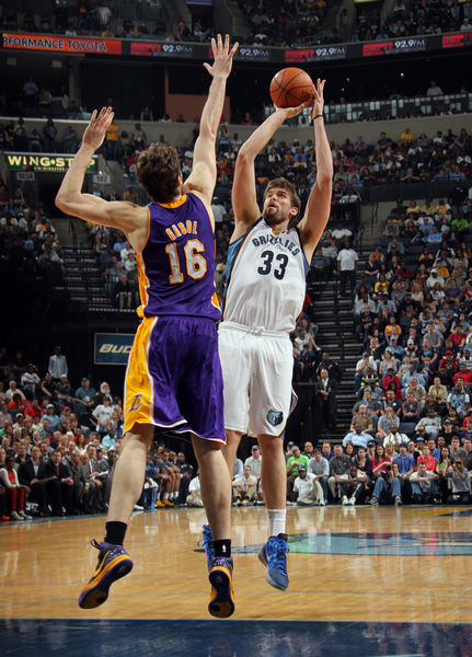 針對性的調 針對性的調