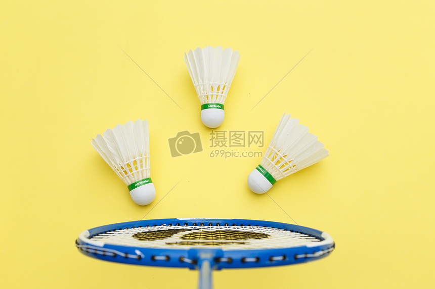 持续在肋部 持续在肋部